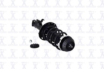 Suspension Strut and Coil Spring Assembly