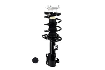 Suspension Strut and Coil Spring Assembly