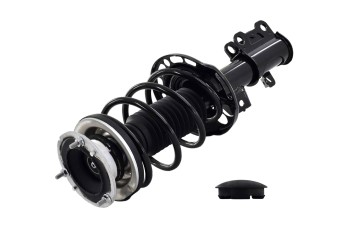 Suspension Strut and Coil Spring Assembly