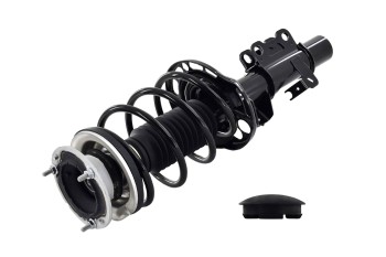 Suspension Strut and Coil Spring Assembly