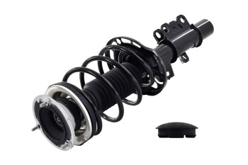Suspension Strut and Coil Spring Assembly