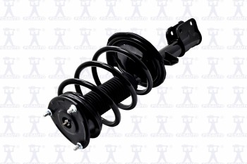 Suspension Strut and Coil Spring Assembly
