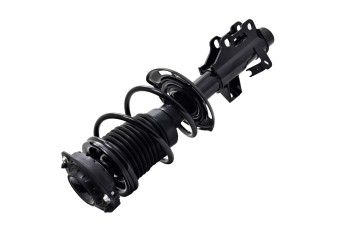 Suspension Strut and Coil Spring Assembly