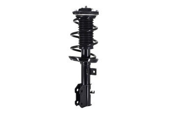 Suspension Strut and Coil Spring Assembly