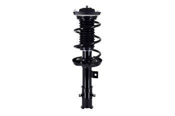 Suspension Strut and Coil Spring Assembly