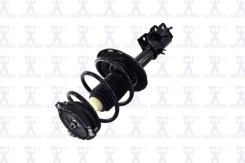 Suspension Strut and Coil Spring Assembly