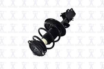 Suspension Strut and Coil Spring Assembly