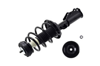 Suspension Strut and Coil Spring Assembly