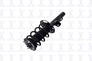 Suspension Strut and Coil Spring Assembly