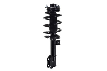 Suspension Strut and Coil Spring Assembly