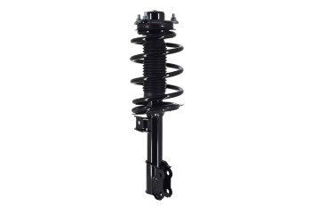 Suspension Strut and Coil Spring Assembly