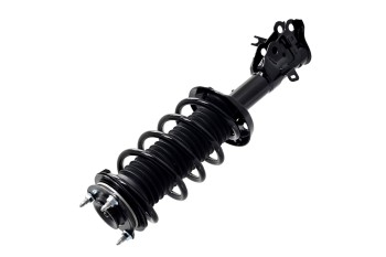 Suspension Strut and Coil Spring Assembly