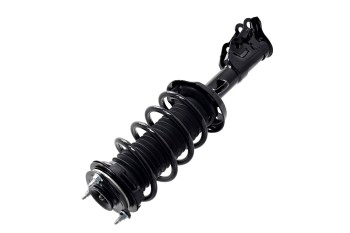 Suspension Strut and Coil Spring Assembly