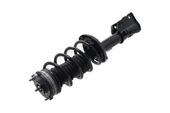 Suspension Strut and Coil Spring Assembly