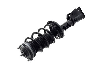 Suspension Strut and Coil Spring Assembly