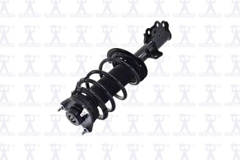 Suspension Strut and Coil Spring Assembly