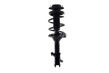 Suspension Strut and Coil Spring Assembly