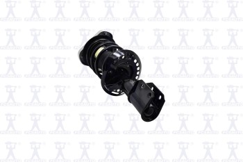 Suspension Strut and Coil Spring Assembly