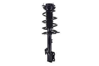 Suspension Strut and Coil Spring Assembly