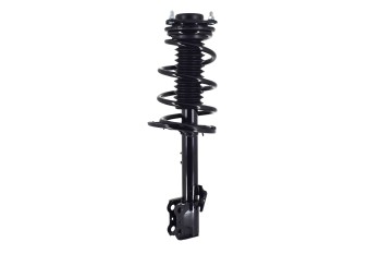 Suspension Strut and Coil Spring Assembly
