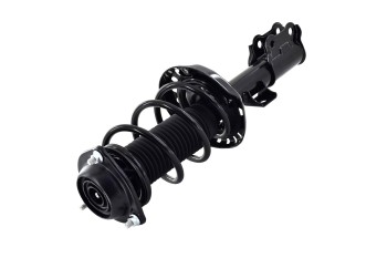 Suspension Strut and Coil Spring Assembly
