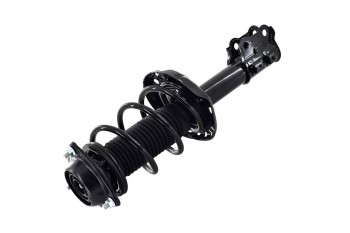 Suspension Strut and Coil Spring Assembly