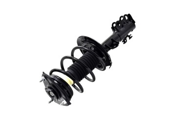 Suspension Strut and Coil Spring Assembly