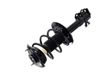 Suspension Strut and Coil Spring Assembly