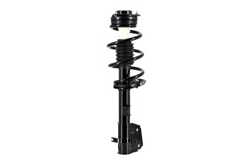 Suspension Strut and Coil Spring Assembly