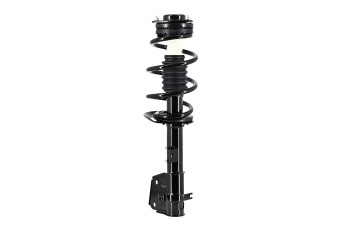 Suspension Strut and Coil Spring Assembly