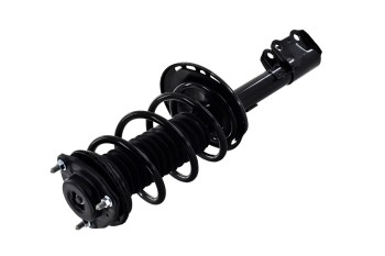 Suspension Strut and Coil Spring Assembly