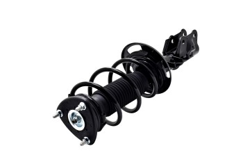 Suspension Strut and Coil Spring Assembly