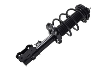 Suspension Strut and Coil Spring Assembly