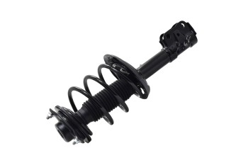 Suspension Strut and Coil Spring Assembly