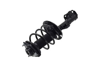 Suspension Strut and Coil Spring Assembly