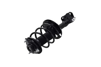 Suspension Strut and Coil Spring Assembly