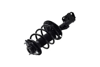 Suspension Strut and Coil Spring Assembly