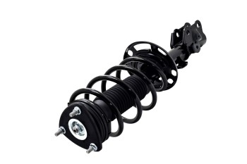 Suspension Strut and Coil Spring Assembly