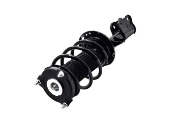 Suspension Strut and Coil Spring Assembly