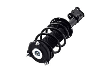 Suspension Strut and Coil Spring Assembly