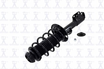 Suspension Strut and Coil Spring Assembly