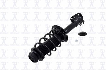 Suspension Strut and Coil Spring Assembly