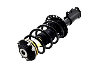 Suspension Strut and Coil Spring Assembly