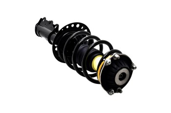 Suspension Strut and Coil Spring Assembly