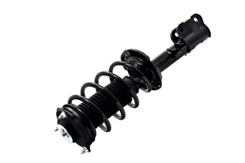 Suspension Strut and Coil Spring Assembly