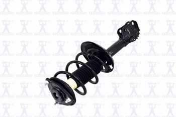Suspension Strut and Coil Spring Assembly