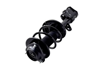 Suspension Strut and Coil Spring Assembly