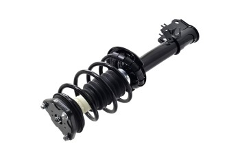 Suspension Strut and Coil Spring Assembly