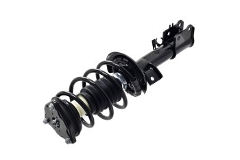 Suspension Strut and Coil Spring Assembly