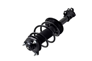 Suspension Strut and Coil Spring Assembly